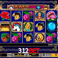 Descubra a Essência do 312bet: Nossa História e Compromissos